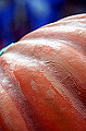 s08055_thumb.jpg